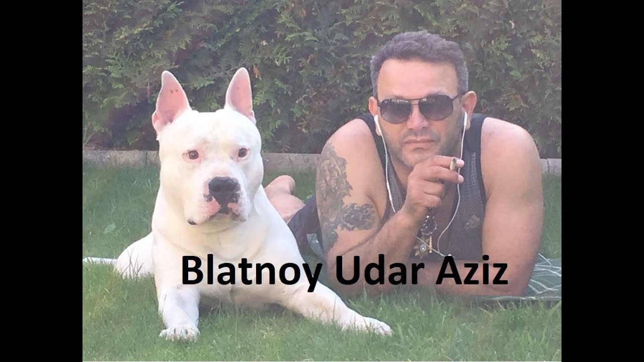 (✵18)Blatnoy Udar Aziz - ✵ Pod Kaifam ✵ (2018 Live) Mp3 Yüklə