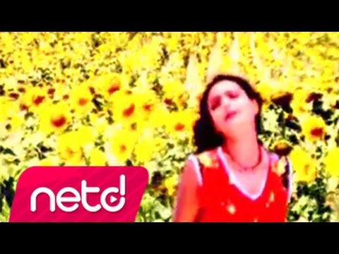 Arzu - Yaralı Ceylan Mp3 Yüklə