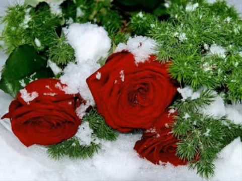 Aynur İsgəndərli - Mən sənin yanına qışda gəlirdim (audio) Mp3 Yüklə