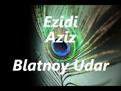 Blatnoy Udar Aziz - Езидски 2019 LIVE Mp3 Yüklə