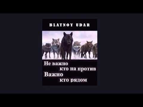 Blatnoy Udar Aziz - Про друзей (Live) Mp3 Yüklə