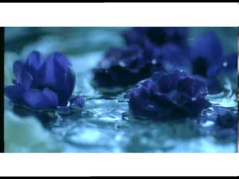 Ebru Gündeş - Beyaz Mp3 Yüklə