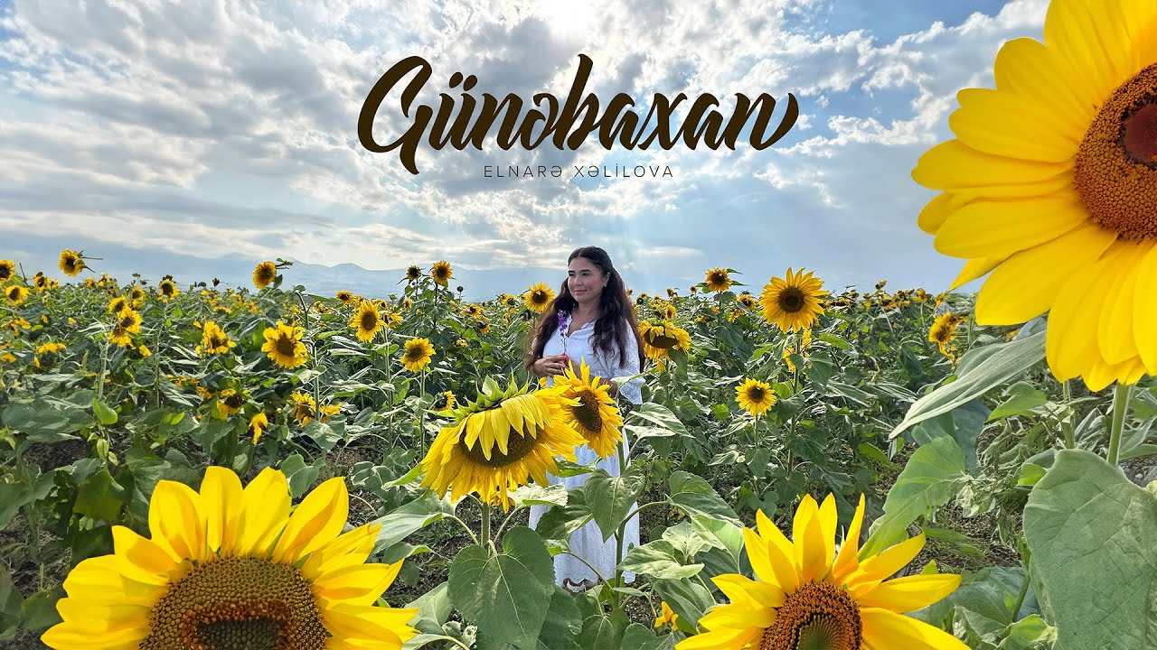 Elnarə Xəlilova — Günəbaxan (Rəsmi Musiqi Videosu) Mp3 Yüklə