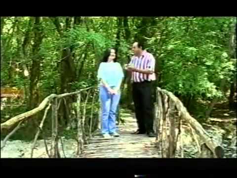 Manaf Ağayev — Mələkdi Bu | Klip Mp3 Yüklə