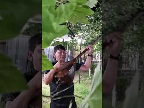 Mükəmməl bir