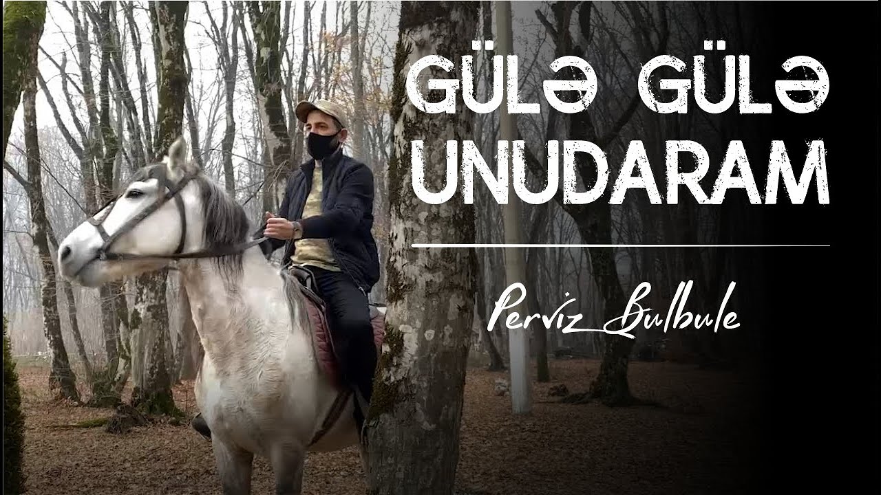 Perviz Bulbule -