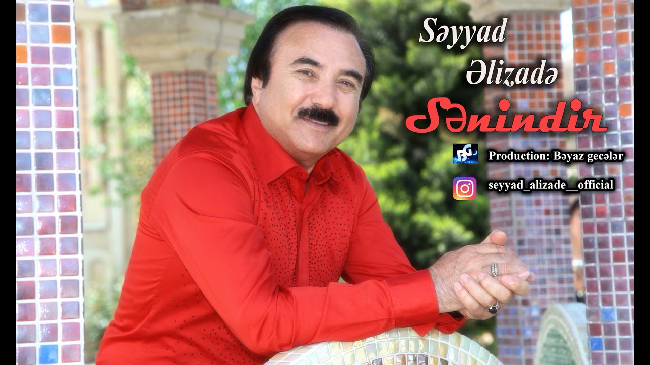Seyyad Elizade - Senindir (Official Audio) Mp3 Yüklə