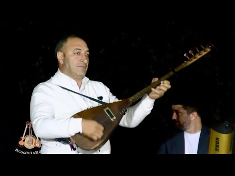 Təranə Gədəbəyli 