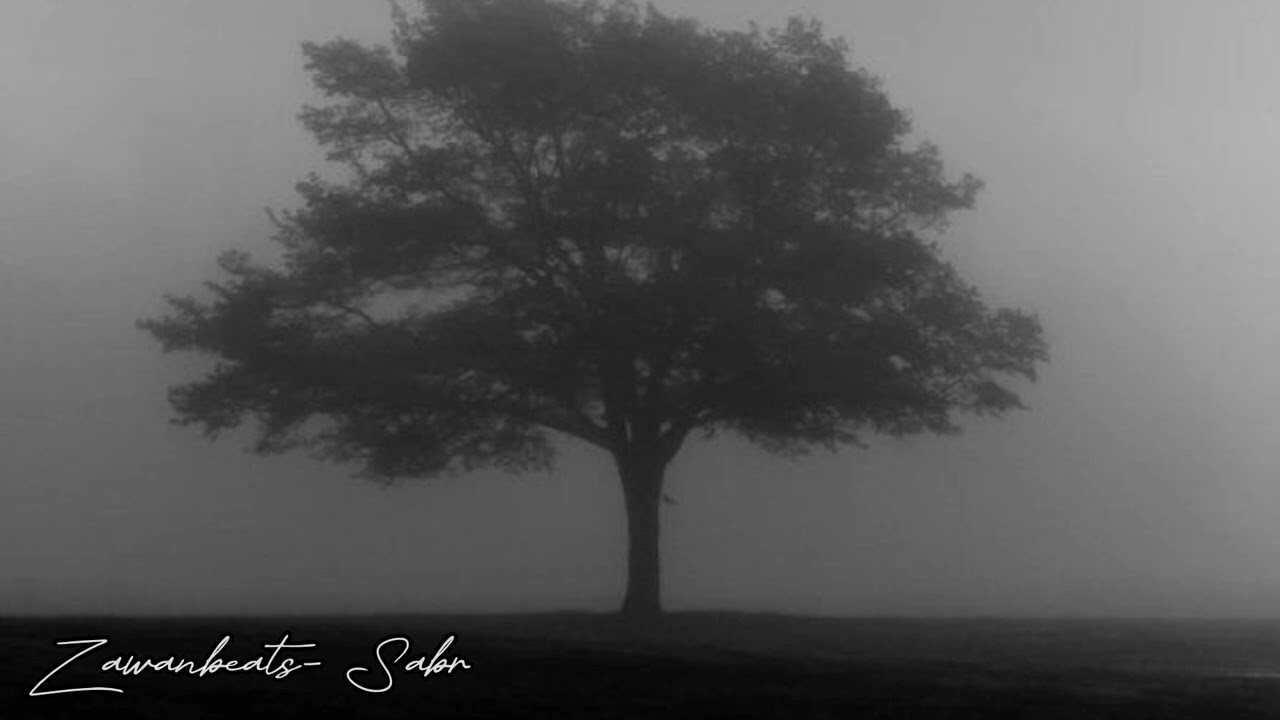 Zawanbeats - Sabr 2023 (Official Music) Mp3 Yüklə