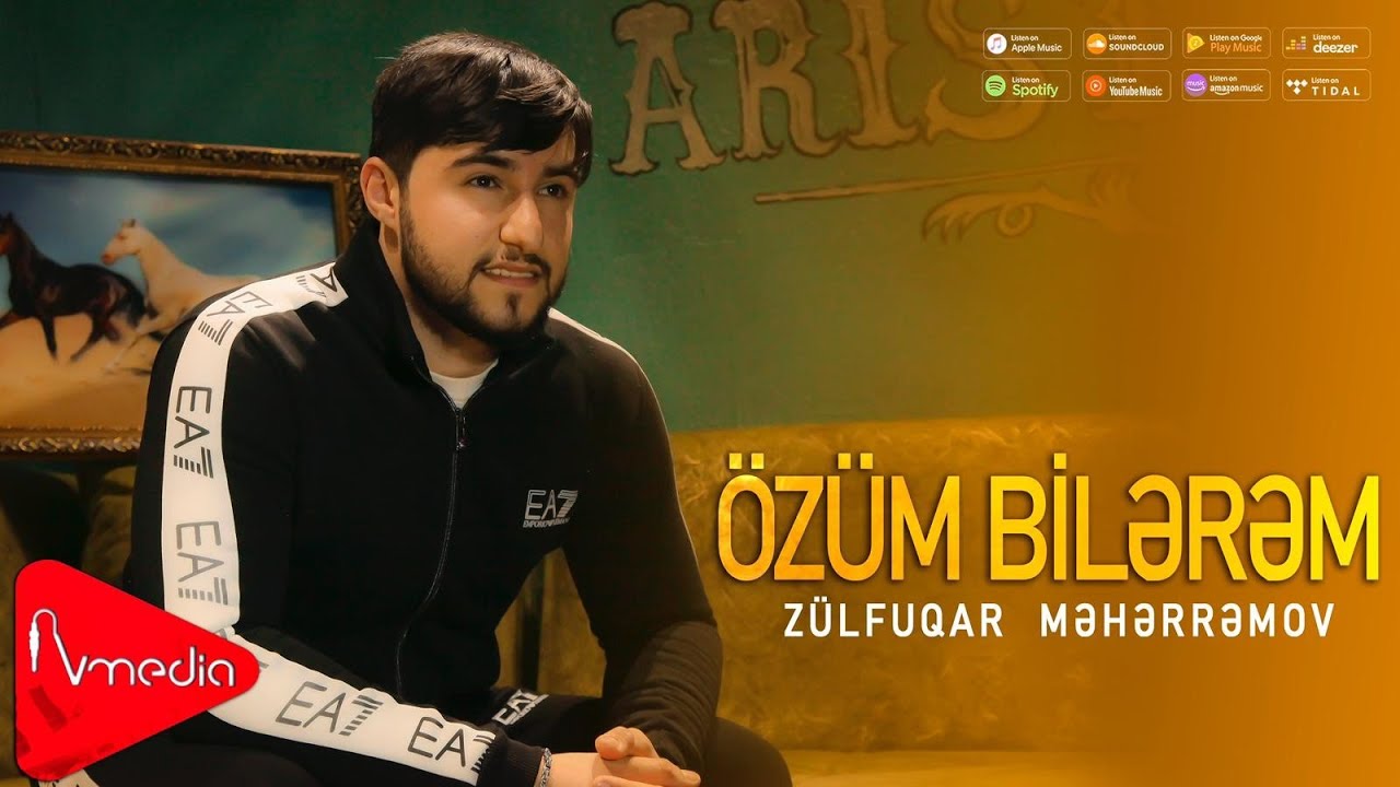 Zulfuqar Meherremov - Ozum bilerem |2025| Mp3 Yüklə